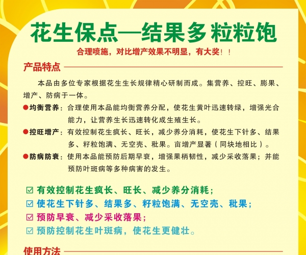 花生保点新宣传单2.jpg