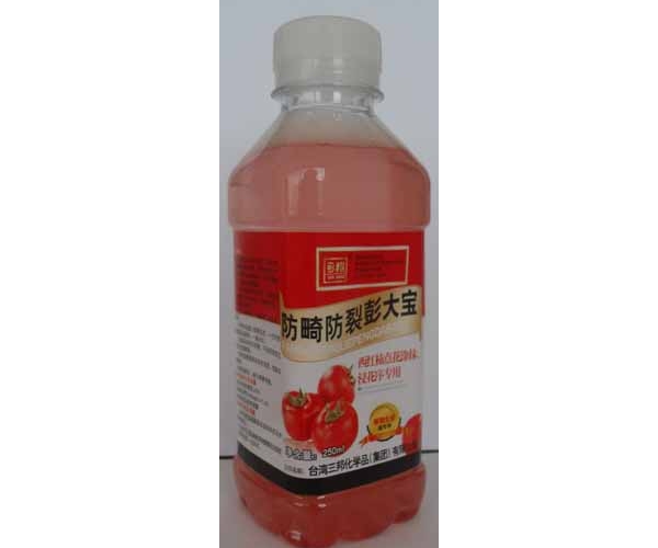 西红柿蘸花药（上传）.jpg