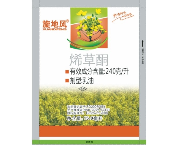 旋地风1.jpg