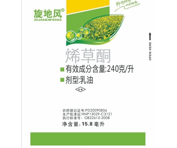 旋地风黄油菜.jpg